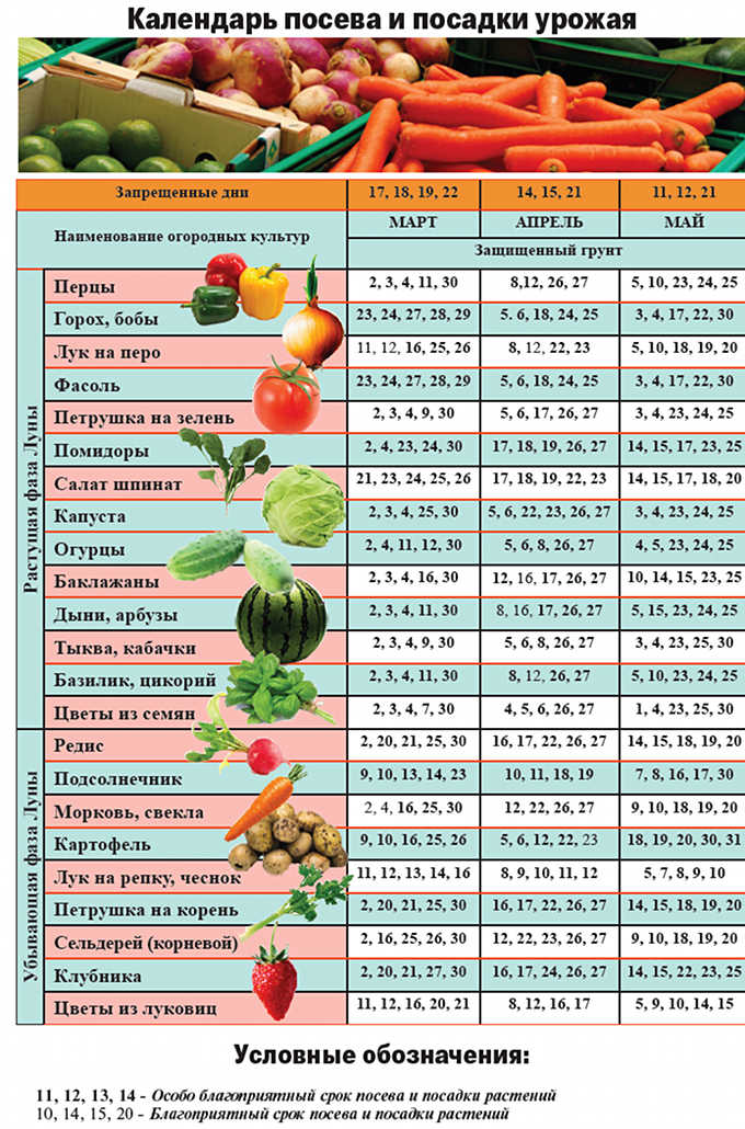 Лунный посевной календарь апрель томаты. Календарь рассады. Календарь посадки рассады. Календарь посадки овощей. Рассаду овощи сажать овощи.